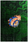 Picture46.png